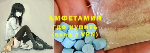 индика Няндома