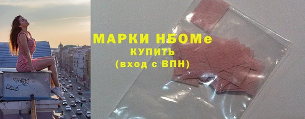 индика Няндома