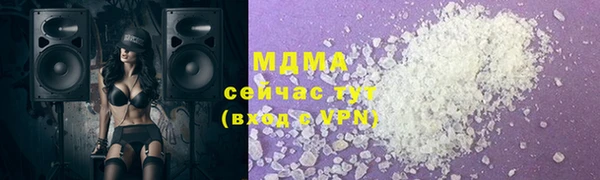 индика Няндома