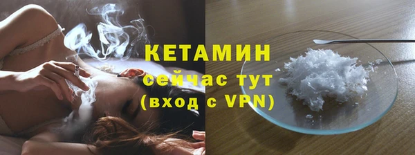 индика Няндома