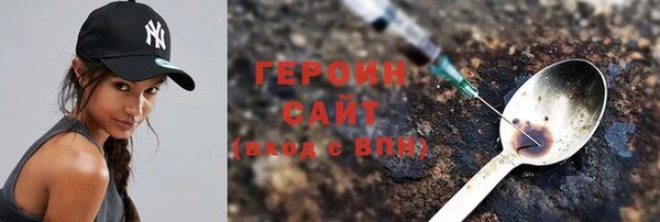 индика Няндома