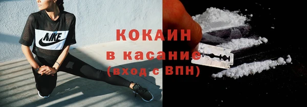 индика Няндома