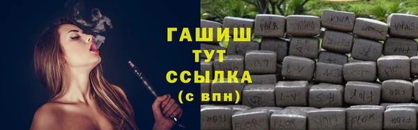 индика Няндома