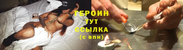 индика Няндома