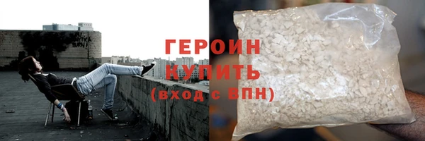 индика Няндома