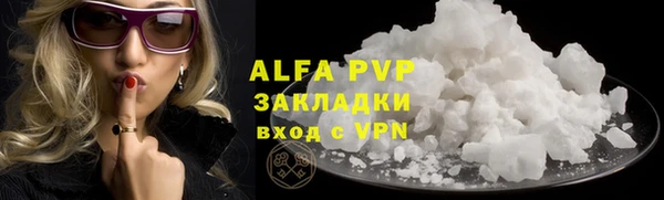 индика Няндома