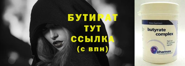 индика Няндома