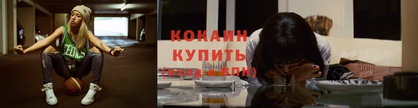 крисы Ахтубинск