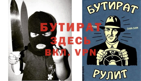 индика Няндома