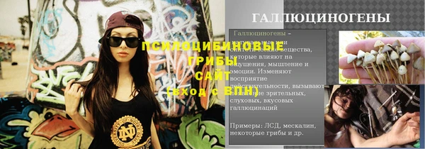 индика Няндома