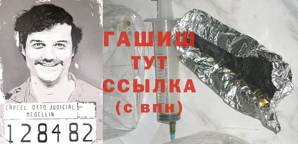 индика Няндома