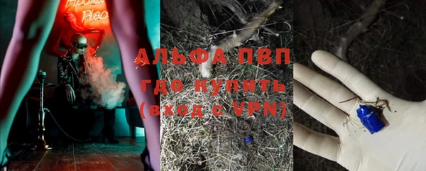 индика Няндома