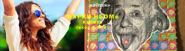 индика Няндома